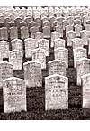 Confederate Graves